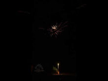 Laden und Abspielen von Videos im Galerie-Viewer, Firebird 2