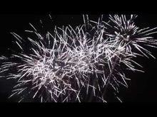 Laden und Abspielen von Videos im Galerie-Viewer, Brocade Mega Finale