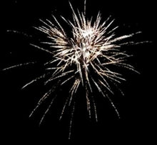 Lade das Bild in den Galerie-Viewer, Royal Austrian Willow