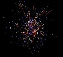 Lade das Bild in den Galerie-Viewer, Brocade Sin