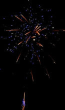 Lade das Bild in den Galerie-Viewer, Brocade Sin