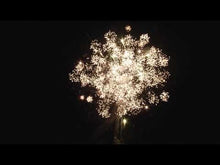 Laden und Abspielen von Videos im Galerie-Viewer, Daddy Pack 25 - das Profi-Sortiment mit Maximalfüllung