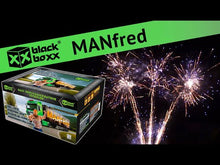 Laden und Abspielen von Videos im Galerie-Viewer, MANfred
