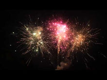 Laden und Abspielen von Videos im Galerie-Viewer, Exorzist 5
