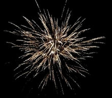 Lade das Bild in den Galerie-Viewer, Royal Austrian Willow
