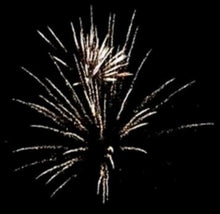 Lade das Bild in den Galerie-Viewer, Royal Austrian Willow
